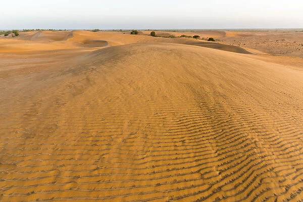 Africa, Senegal, Lompoul. The desert of Lompoul