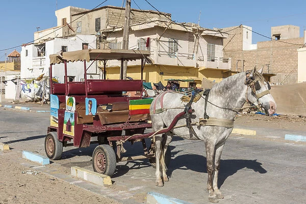 Africa, Senegal, Saint-Louis. A caleche, traditional taxi