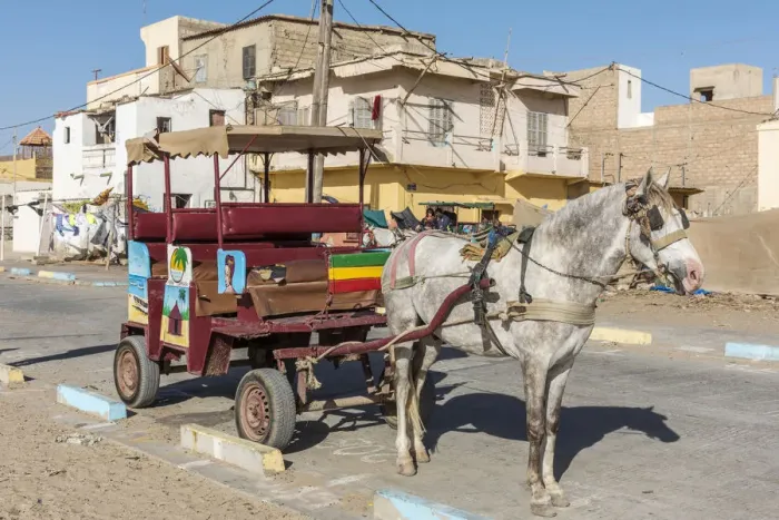 Framed Print : Africa, Senegal, Saint-Louis. A caleche, traditional taxi Framed Print : Africa, Senegal, Saint-Louis. A caleche, traditional taxi