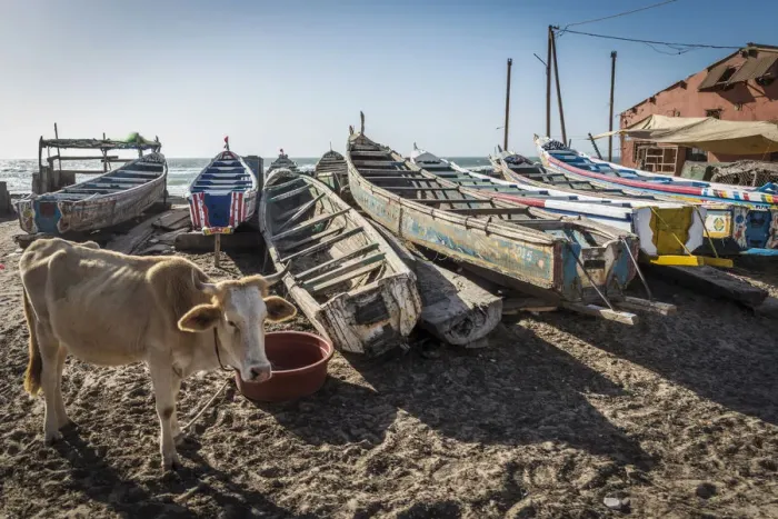 Framed Print : Africa, Senegal, Saint-Louis. Fishing boats Framed Print : Africa, Senegal, Saint-Louis. Fishing boats