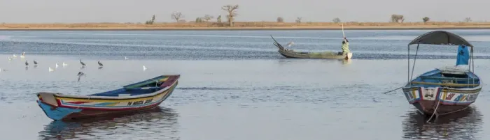 Framed Print : Africa, Senegal, Sine-Saloum-Delta. Fisherman in the delta Framed Print : Africa, Senegal, Sine-Saloum-Delta. Fisherman in the delta