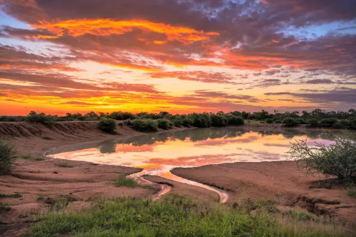 Framed Print : Africa, South Africa, African, Limpopo province, water hole at sunset