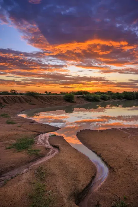 Framed Print : Africa, South Africa, African, Limpopo province, water hole at sunset Framed Print : Africa, South Africa, African, Limpopo province, water hole at sunset
