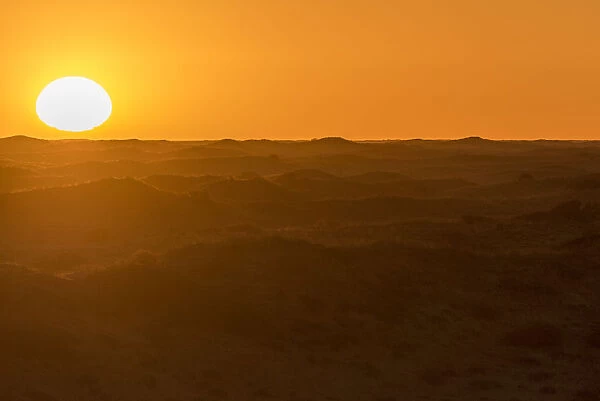Africa, South Africa, Kalahari Transfrontier Park. sunrise