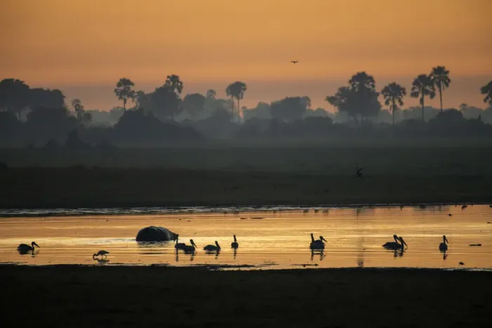 Framed Print : Africa, Southern Africa, African, Botswana, Okavango Delta, Abu Camp, sunrise Framed Print : Africa, Southern Africa, African, Botswana, Okavango Delta, Abu Camp, sunrise