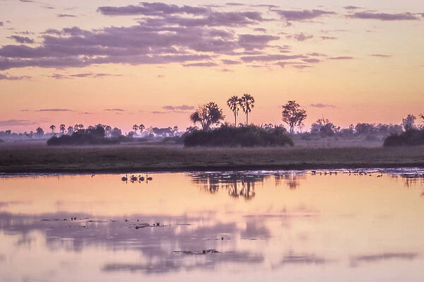 Africa, Southern Africa, African, Botswana, Okavango Delta, Abu Camp, dawn
