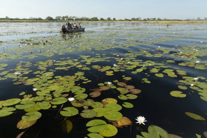Framed Print : Africa, Southern Africa, Botswana, Savuti, Okavango Delta, Safari boat on river Framed Print : Africa, Southern Africa, Botswana, Savuti, Okavango Delta, Safari boat on river