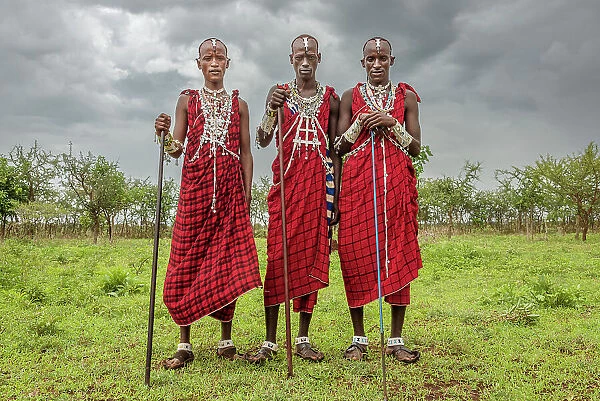 Africa, Tanzania, Manyara Region. Young warriors posing for with traditional jewellery and dresses