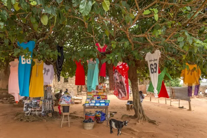 Framed Print : Africa, Togo, Togoville. Shop under a tree selling cloths