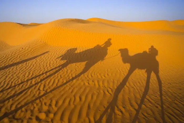 Framed Print : Africa, Tunisia, Ksar Ghilane Desert Oasis
