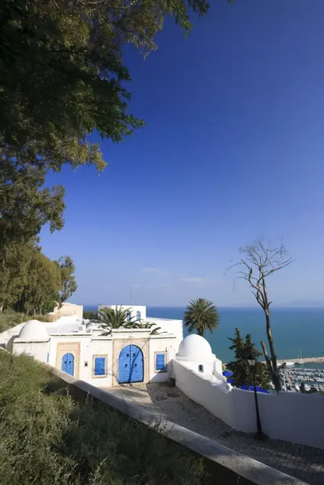 Framed Print : Africa, Tunisia, Village of Sidi Bou Said Framed Print : Africa, Tunisia, Village of Sidi Bou Said