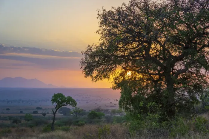 Framed Print : Africa, Uganda, Karamoja. Kidepo Valley National Park. Sunrise Framed Print : Africa, Uganda, Karamoja. Kidepo Valley National Park. Sunrise