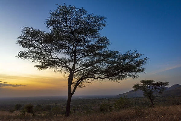 Africa, Uganda, Karamoja. Moroto. sunset at the slopes of the Mount Moroto