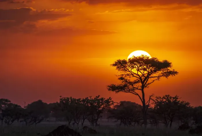 Framed Print : Africa, Uganda, Pian Upe Nature Reserve. Sunset in the Savanna
