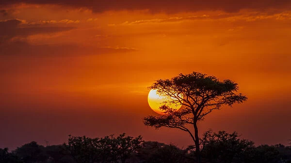 Africa, Uganda, Pian Upe Nature Reserve. Sunset in the Savanna