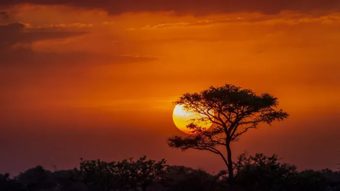 Framed Print : Africa, Uganda, Pian Upe Nature Reserve. Sunset in the Savanna Framed Print : Africa, Uganda, Pian Upe Nature Reserve. Sunset in the Savanna