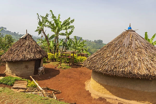Africa, Uganda, Sipi Falls. A traditional rural homestead