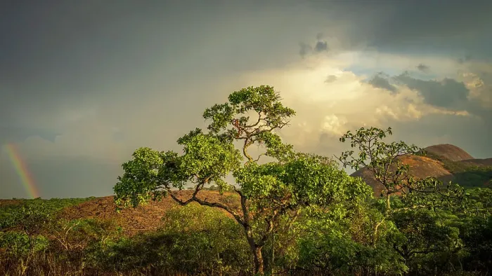 Framed Print : Africa, Zambia, Northern Zambia, Mutinondo Wilderness. On a hike in the rocky landscape at sunset with a rainbow Framed Print : Africa, Zambia, Northern Zambia, Mutinondo Wilderness. On a hike in the rocky landscape at sunset with a rainbow