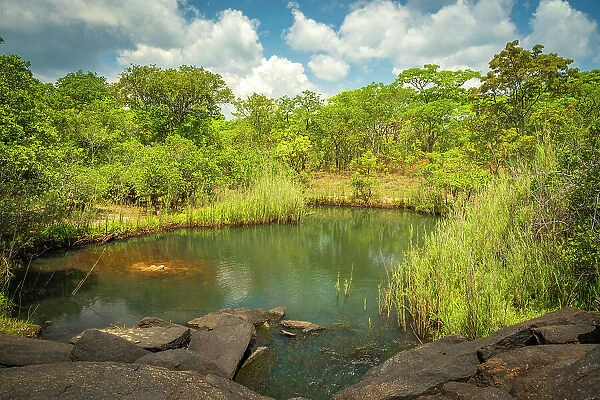 Africa, Zambia, Northern Zambia, Mutinondo Wilderness. A pool surrounded by woodland