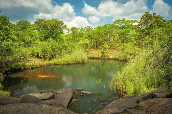 Framed Print : Africa, Zambia, Northern Zambia, Mutinondo Wilderness. A pool surrounded by woodland Framed Print : Africa, Zambia, Northern Zambia, Mutinondo Wilderness. A pool surrounded by woodland
