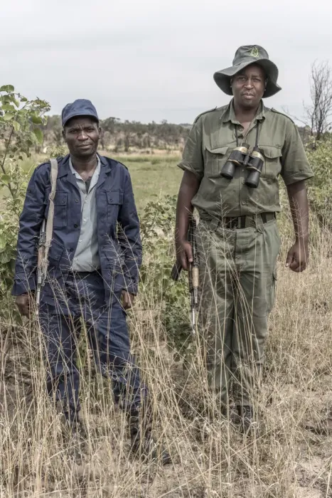 Framed Print : Africa, Zimbabwe, Bulawayo. Matobo Hills National Park, ranger protecting rhinos Framed Print : Africa, Zimbabwe, Bulawayo. Matobo Hills National Park, ranger protecting rhinos