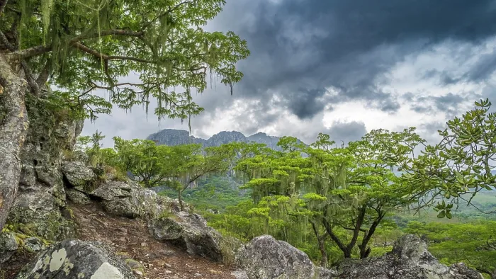 Framed Print : africa, Zimbabwe, Eastern Highlands, Chimanimani National Park. On a hiking path