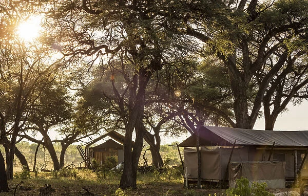 Africa, Zimbabwe, Hwange National Park. Sun filters through the acacia trees onto