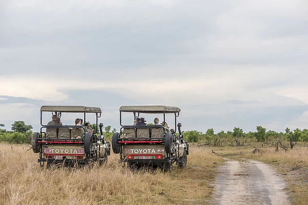 Africa, Zimbabwe, Hwange National Park. Safari vehicles parked up during a game drive