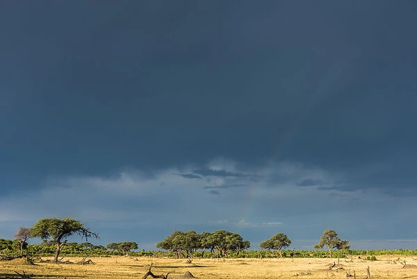 Africa, Zimbabwe, Hwange National park. Rainbow after a thunderstorm in wet season