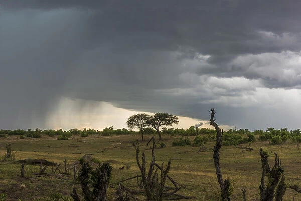 Africa, Zimbabwe, Hwange National park, Thunderstorms are common in the wet season