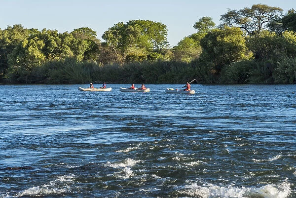 Africa, Zimbabwe, Matabeleland north. Canoeing on the Upper Zambezi River