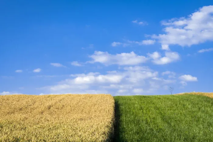 Framed Print : Agricultural field against sky on sunny day near Vrbice, Breclav District, South Moravian Region, Moravia, Czech Republic Framed Print : Agricultural field against sky on sunny day near Vrbice, Breclav District, South Moravian Region, Moravia, Czech Republic