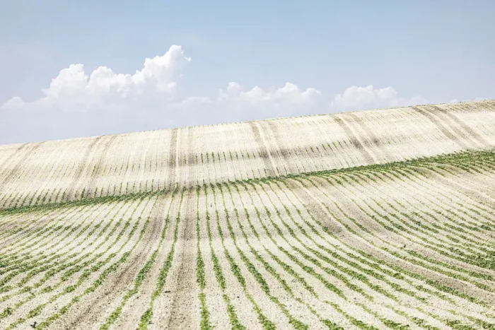 Framed Print : Agricultural landscape near Ronda, Andalusia, Spain Framed Print : Agricultural landscape near Ronda, Andalusia, Spain