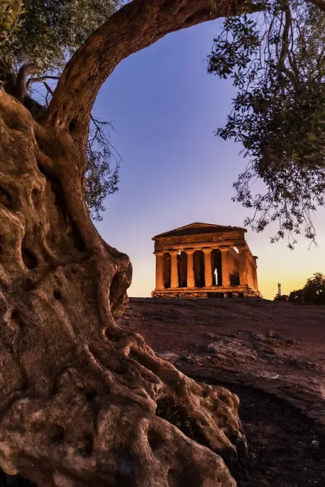 Framed Print : Agrigento, Sicily. People visiting Concordia Temple in the Valley of Temples at dusk Framed Print : Agrigento, Sicily. People visiting Concordia Temple in the Valley of Temples at dusk