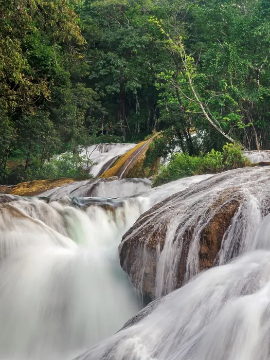 Framed Print : Agua Azul Waterfalls, Arroyo Agua Azul, Chiapas State, Mexico Framed Print : Agua Azul Waterfalls, Arroyo Agua Azul, Chiapas State, Mexico