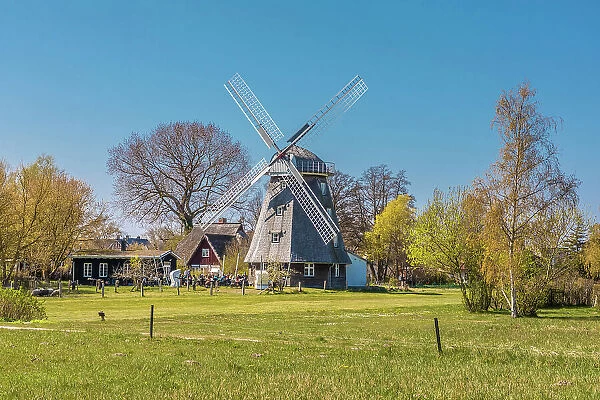 Ahrenshoop windmill, Mecklenburg-West Pomerania, North Germany, Germany