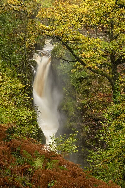 Aira Force in Autumn, Lake District National Park, Cumbria, England