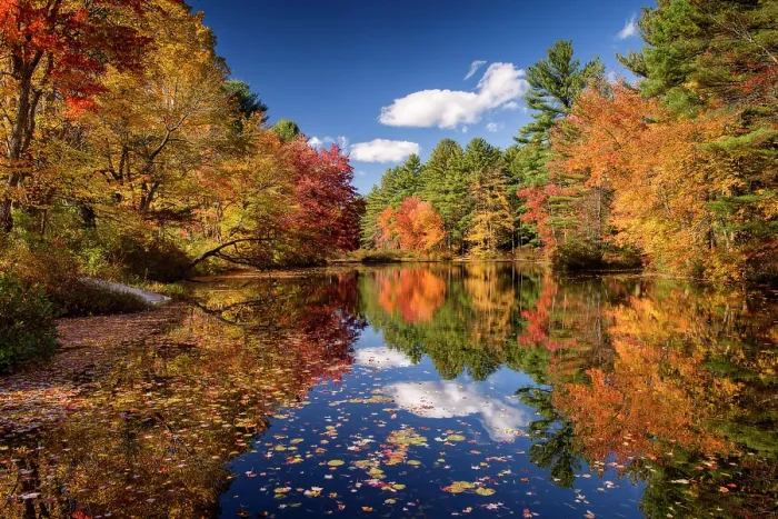 Framed Print : Aiutumn reflection in the Chocorua River, Tamworth, New Hampshire, USA Framed Print : Aiutumn reflection in the Chocorua River, Tamworth, New Hampshire, USA
