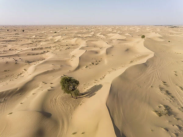 Al Qudra Desert, Dubai, United Arab Emirates