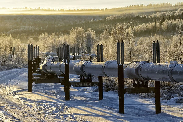 Alaska Pipeline Fairbanks, Alaska, USA