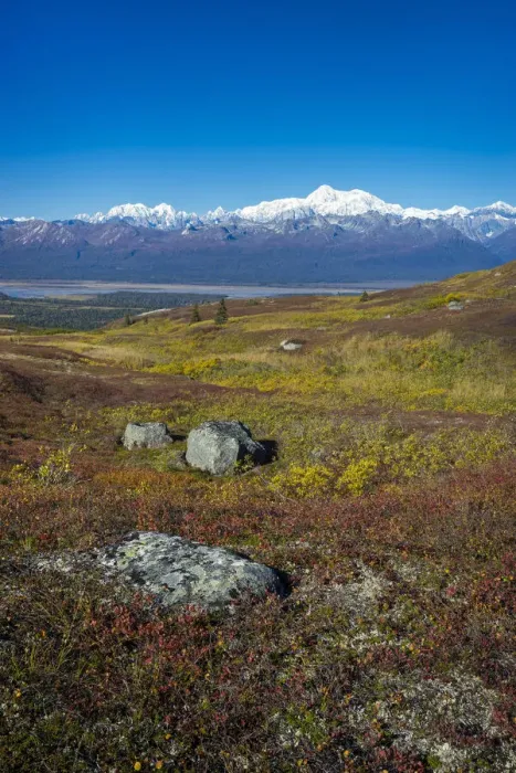 Framed Print : Alaska Range seen from K esugi Ridge Trail, Denali State Park Framed Print : Alaska Range seen from K esugi Ridge Trail, Denali State Park