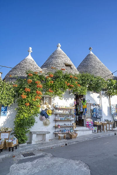 Alberobello, province of Bari, Apulia, Italy The typical Trulli huts
