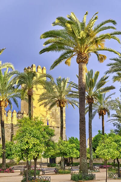 Alcazar de los Reyes Cristianos (Alcazar of the Christian Kings), Cordoba. Andalucia, Spain