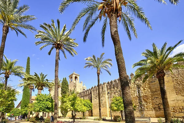 Alcazar de los Reyes Cristianos (Alcazar of the Christian Kings), Cordoba. Andalucia, Spain