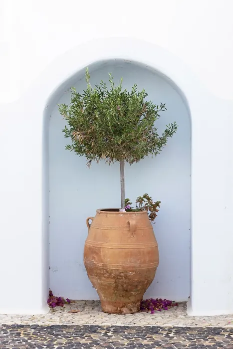 Framed Print : Alcove with urn and plant, Vothonas, Santorini, Cyclades Islands, Greece, Europe Framed Print : Alcove with urn and plant, Vothonas, Santorini, Cyclades Islands, Greece, Europe