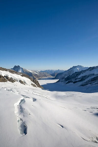 Aletsch Glacier, Jungfraujoch, Top of Europe, Grindelwald, Bernese Oberland, Highlands