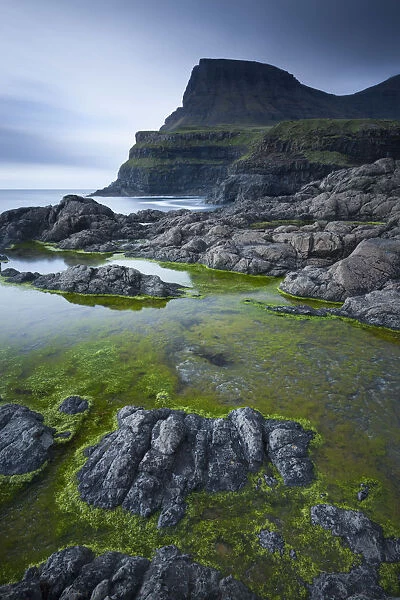 Algae lined rockpools on the coast at Gasadalur on the island of Vagar, Faroe Islands