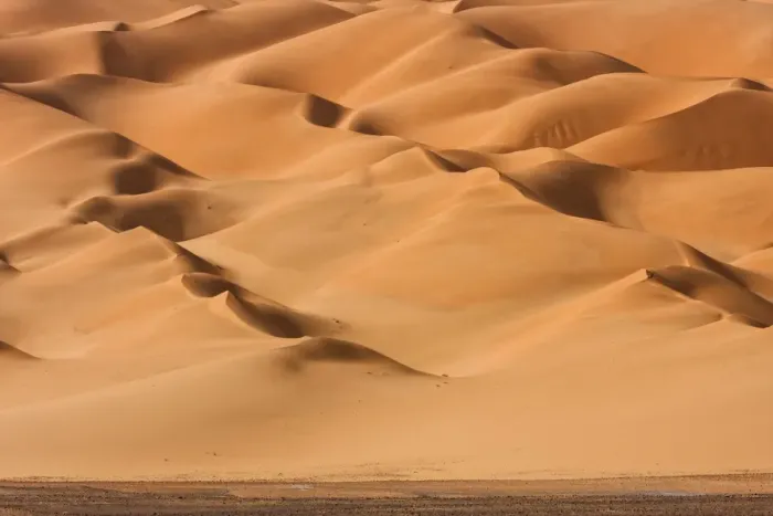 Framed Print : Algeria, Sahara, An Erg of stellar dunes Framed Print : Algeria, Sahara, An Erg of stellar dunes