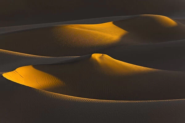 Algeria, Sahara, Last rays of sun on a group of dunes