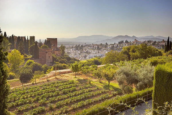 The Alhambra complex and the Albaicin neighborhood from the gardens of Generalife